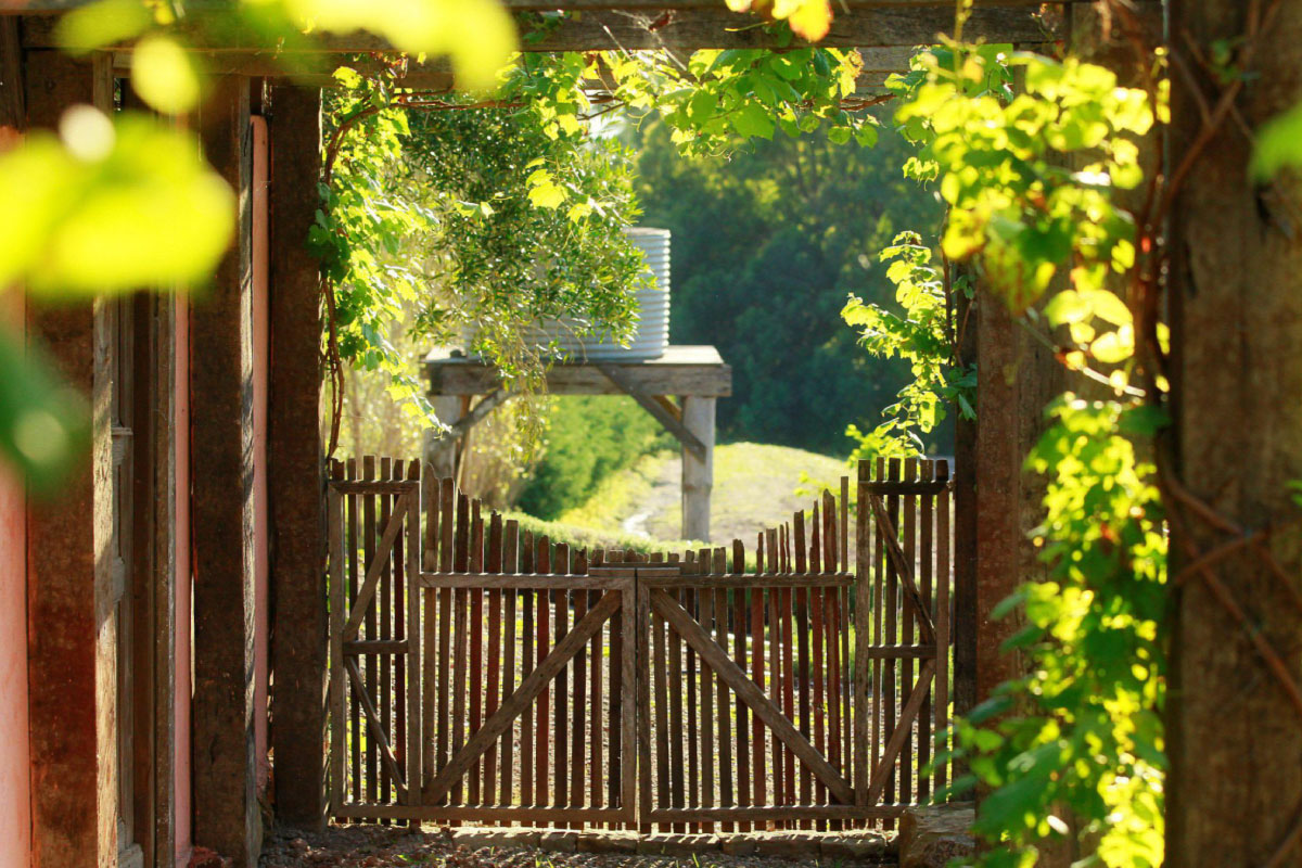 Banner Image 1