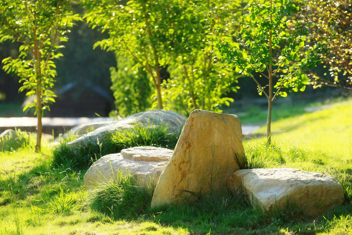 Banner Image 1