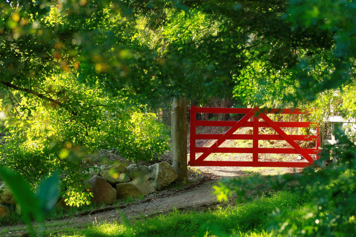 Banner Image 1