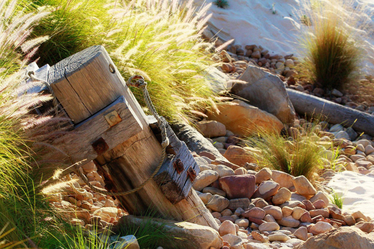Banner Image 1