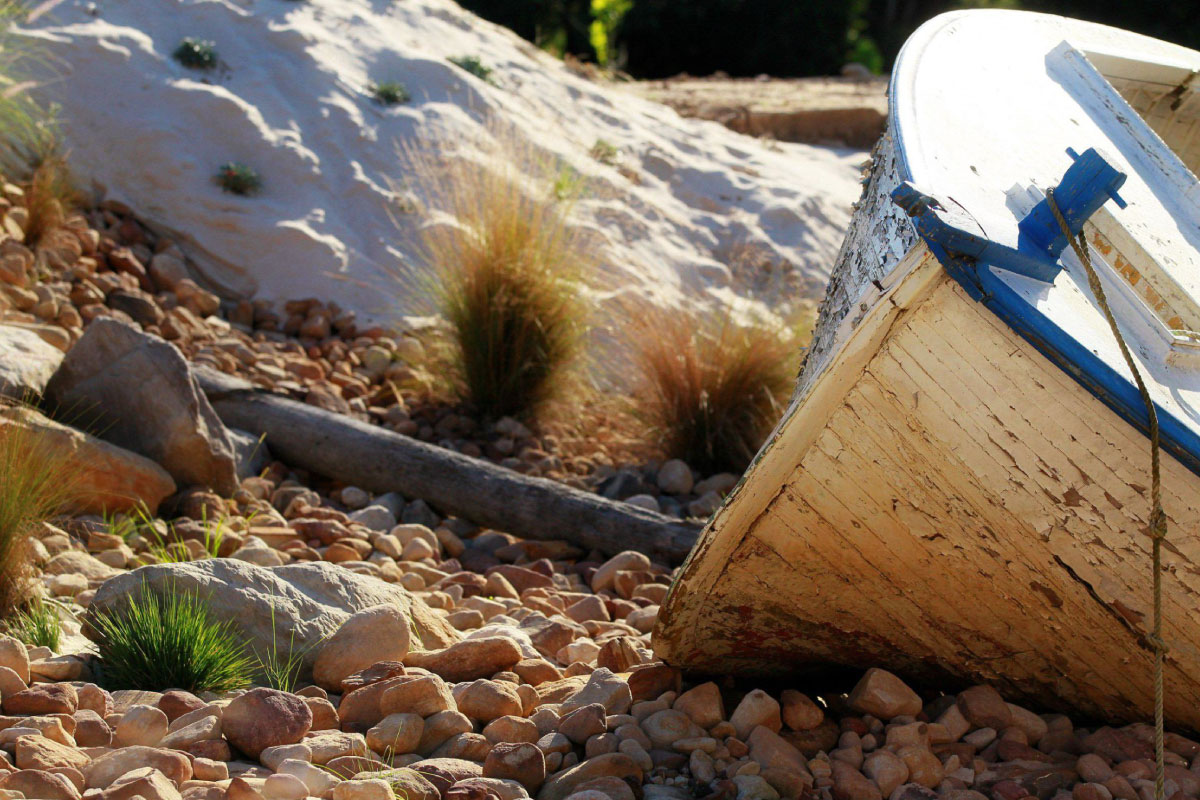 Banner Image 1