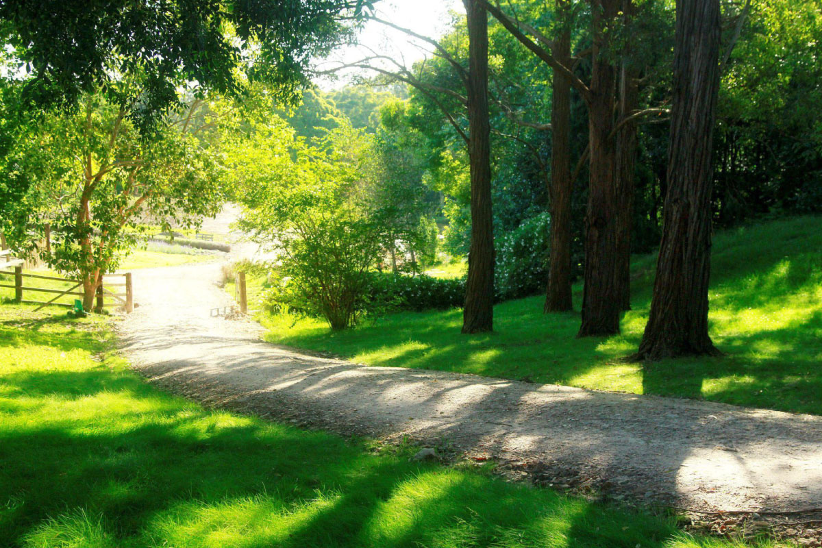 Banner Image 1